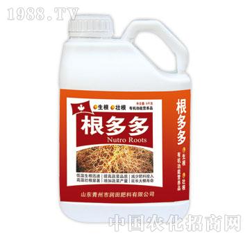 ����-�����