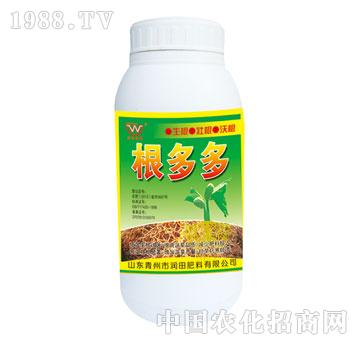 ����-����ࣨƿ��