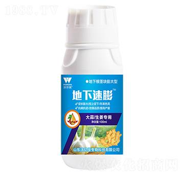 ����������(zhu��n)��-��������-�֠���(y��u)