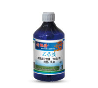 ���¡-�Ҳݰ�