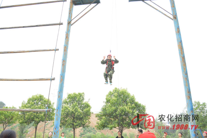 高空斷橋大作戰(zhàn)