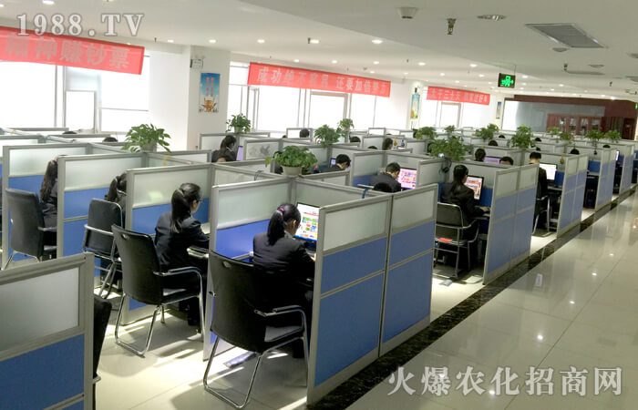 全力以赴,火拼到底