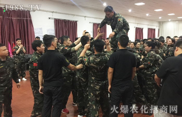 唯有堅毅不可破!