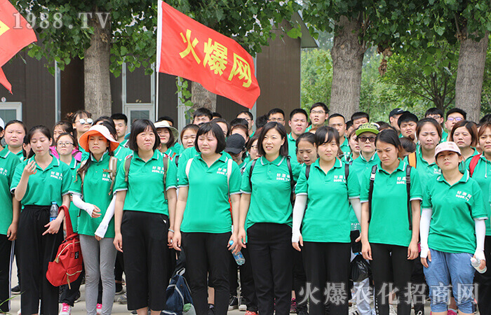 沒有完美的個人 只有完美的團隊