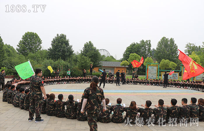 沒有完美的個人 只有完美的團隊