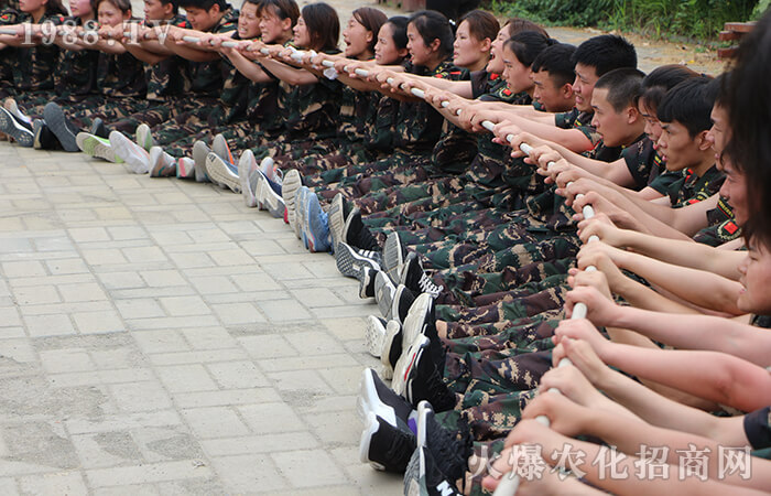 拼搏到無能為力,努力到感動自己!