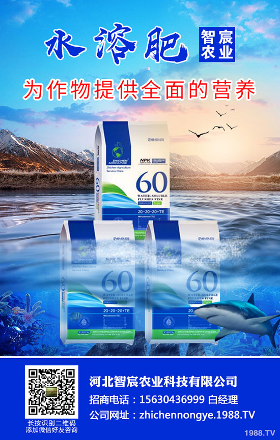 2020���؃r(ji��)��Ҫ�ϝq���������������߄�(sh��)������