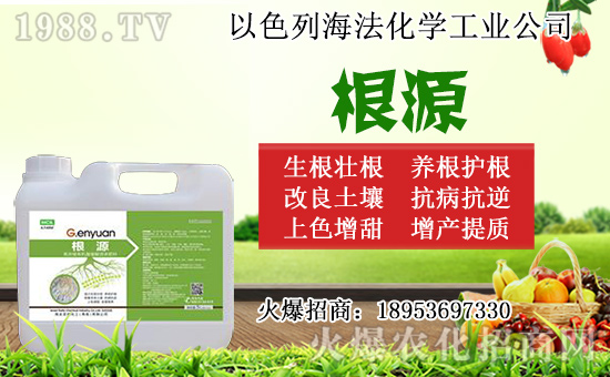 �o������ôǤ�����o����Ǥ��r�g��Ǥ�己ֳ������