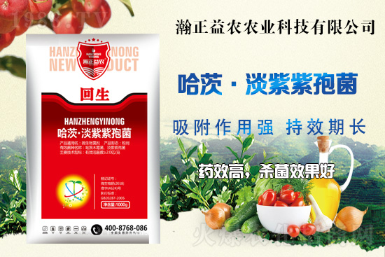 ��������r(n��ng)��ף���т��I(y��)���������������������µ�һ�����չ��D��