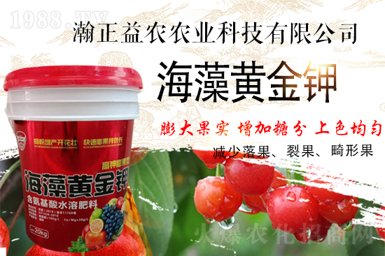 ��������r(n��ng)��ף���т��I(y��)���������������������µ�һ�����չ��D��