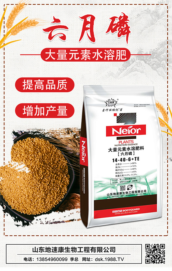 �����ٿ����ף�������w������ǰ�����\���������M��