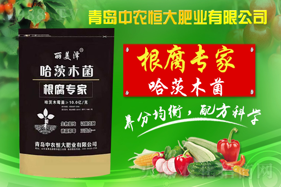 �����r(n��ng)���ףȫ��(gu��)��������옷(l��)������ʮ����ؔ(c��i)Դ�L�L��