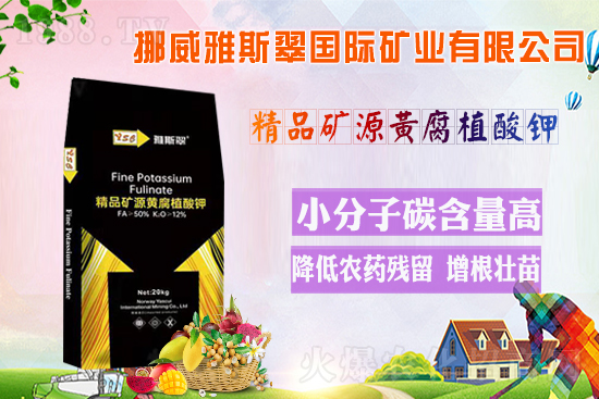 ��Ų����˹�䡿ף�V���N��2022�껢������H�Қg��������(ji��)�옷��