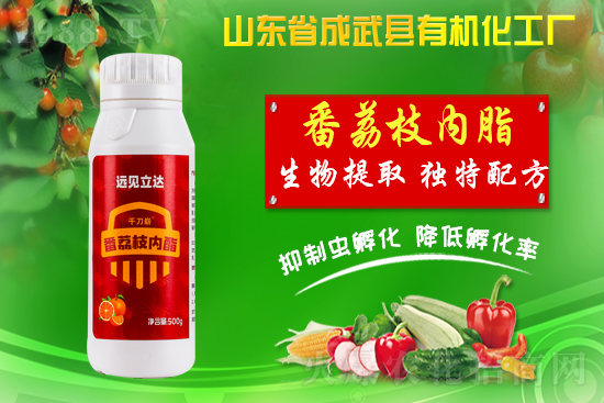 ���ЙC�����S��ף������������������µ�һ�����չ��D��