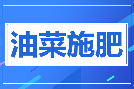 ʩ��
