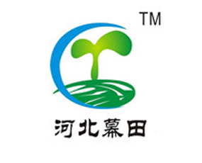 �ӱ�Ļ������Ƽ����޹�˾