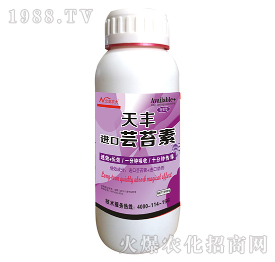 �M���|̦��-�����r(n��ng)��