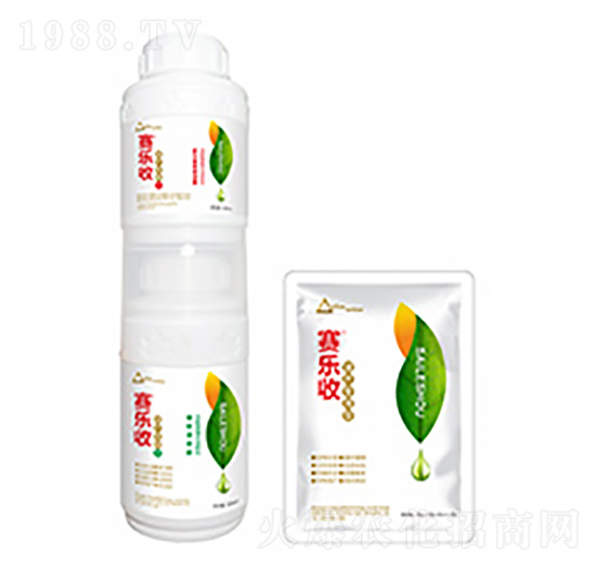 ���a�������b-ِ����-�����Ƽ�