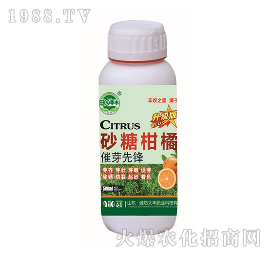 ɰ�Ǹ��ٴ�ѿ���h-��@���S-���S�ʘI(y��)