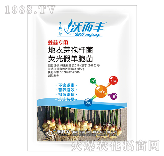 ���⌣�ßɹ⡤����ѿ�ߗU��-�ֶ��S-̩����