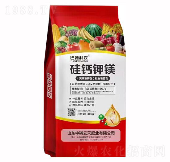 ���}��V-�͵����r-��������