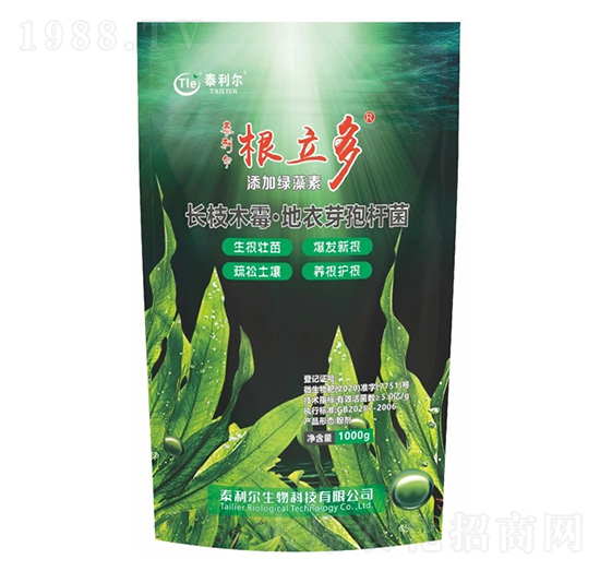 ������-̩����