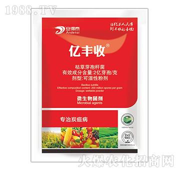 ����̿�Ҳ�-�|�S��-����̩