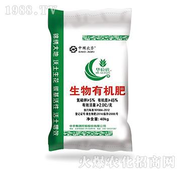 �����ЙC(j��)��-���ǻ��r(n��ng)