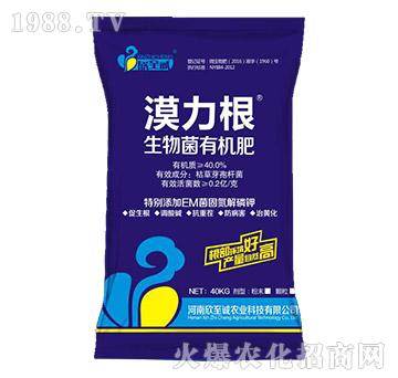 ������ЙC(j��)��-Į����-�����\(ch��ng)