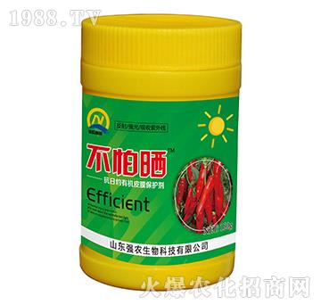 �������ЙCƤĤ���o��-����-���r(n��ng)����