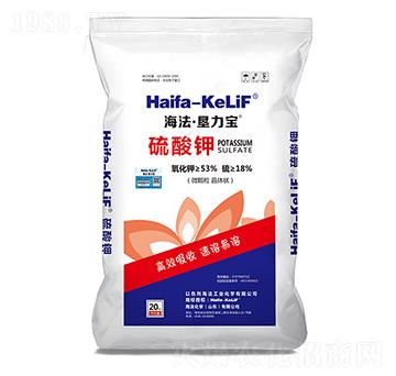 �����-������������-�������W(xu��)