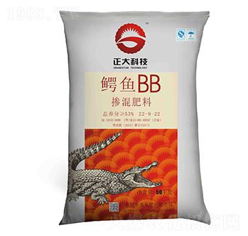 �������22-9-22-�{�~BB-������