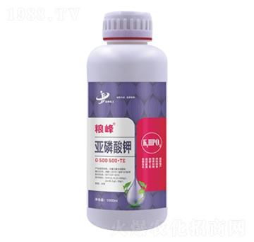 1000ml������� �Z�� ���ƻ���