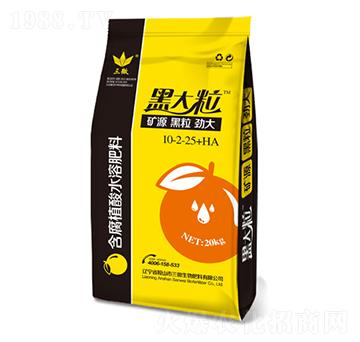 ����ֲ��ˮ�ܷ���10-2-25+HA-�ڴ���-��΢����