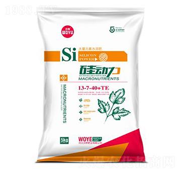 ����Ԫ��ˮ�ܷ���13-7-40+TE-�����-��Ұ�ʘI(y��)