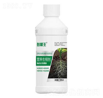 �I�B(y��ng)������-�����-�W��