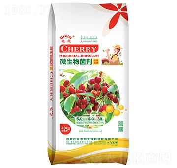 ������΢�������-����-��̫�