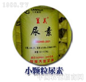 �m��-С�w������